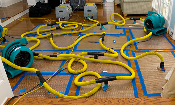 Professional Water Damage Restoration technician working in Bay City, WI
